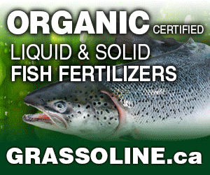 Grassoline Brand Organic fish fertilizer