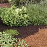 Campbell River bark mulch landscaping products