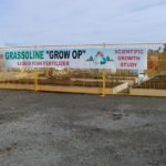 grassoline organic fish fertilizer