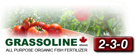 Grassoline All purpose organic fish fertilizer 2-3-0